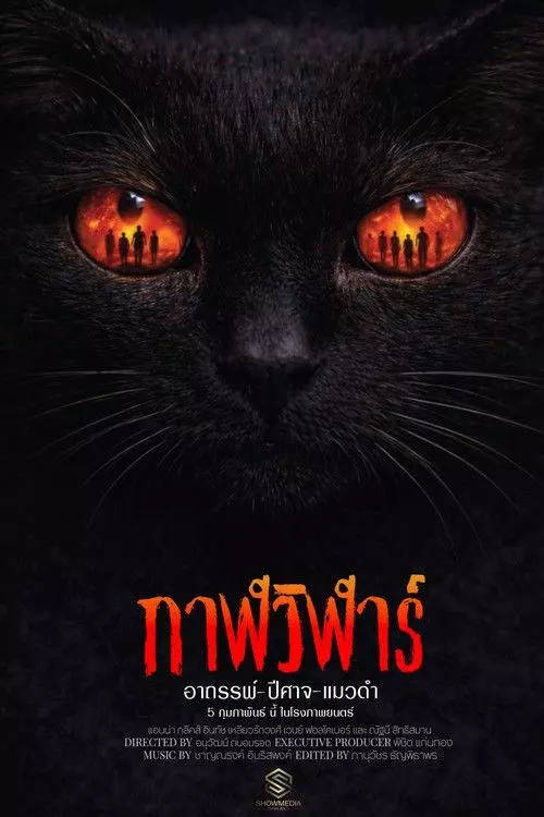 Devil Black Cat