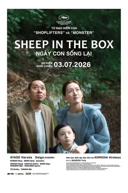 Sheep In The Box